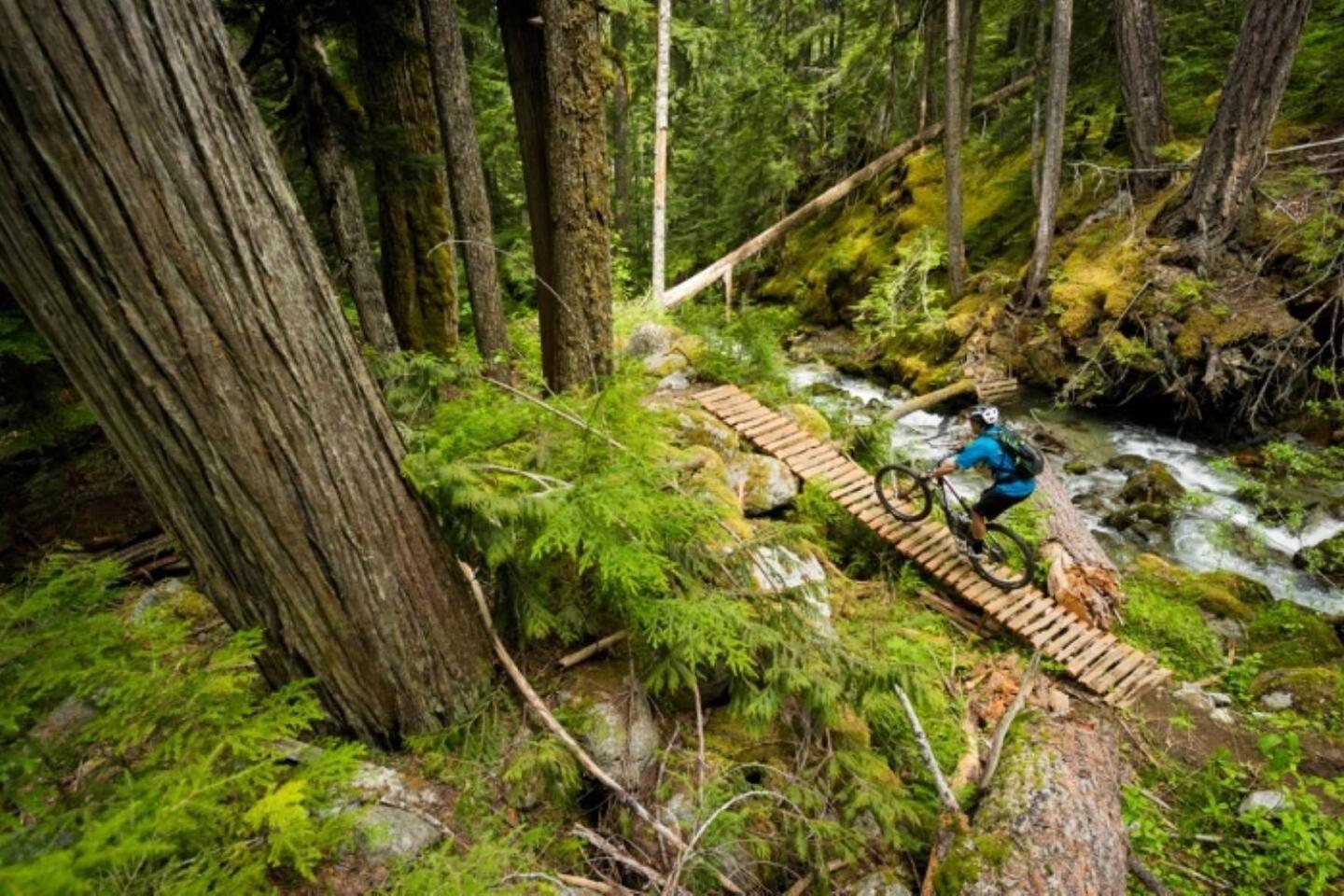 Glacier Premiere * Whistler